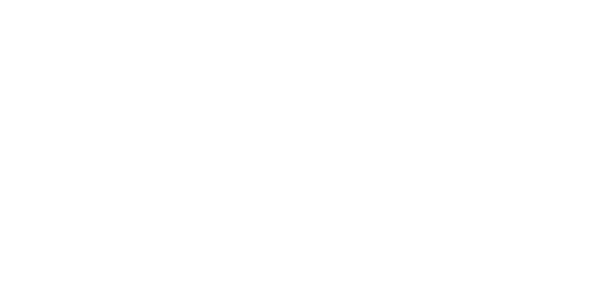 logo-box